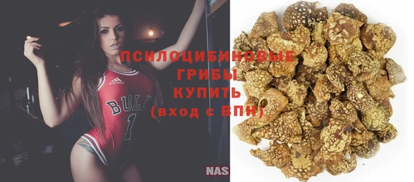 хмурый Богданович